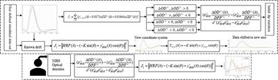 Initial-Dip Existence and Estimation in Relation to DPF and Data Drift